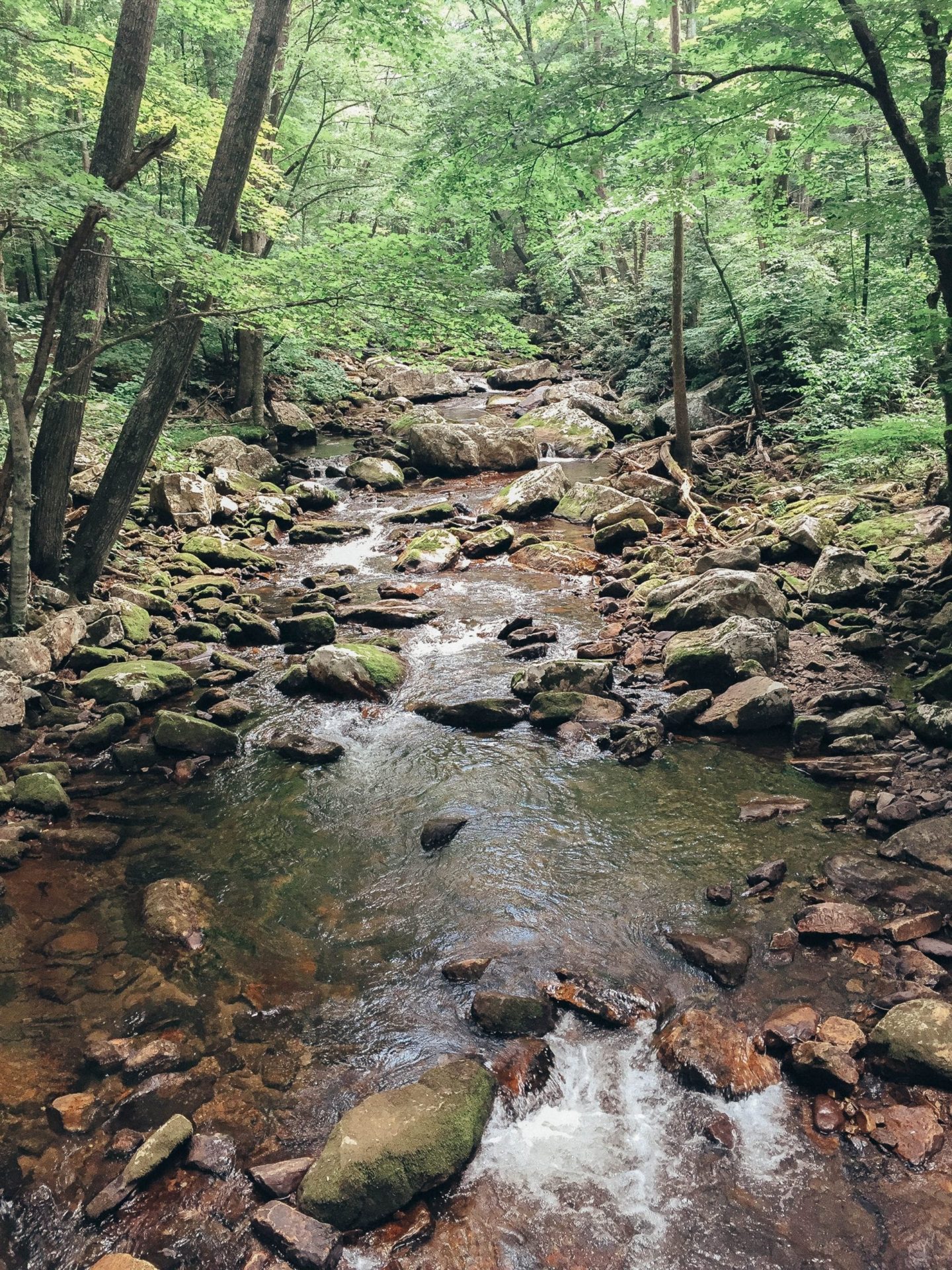 Hiking cascade falls Pembroke Virginia 