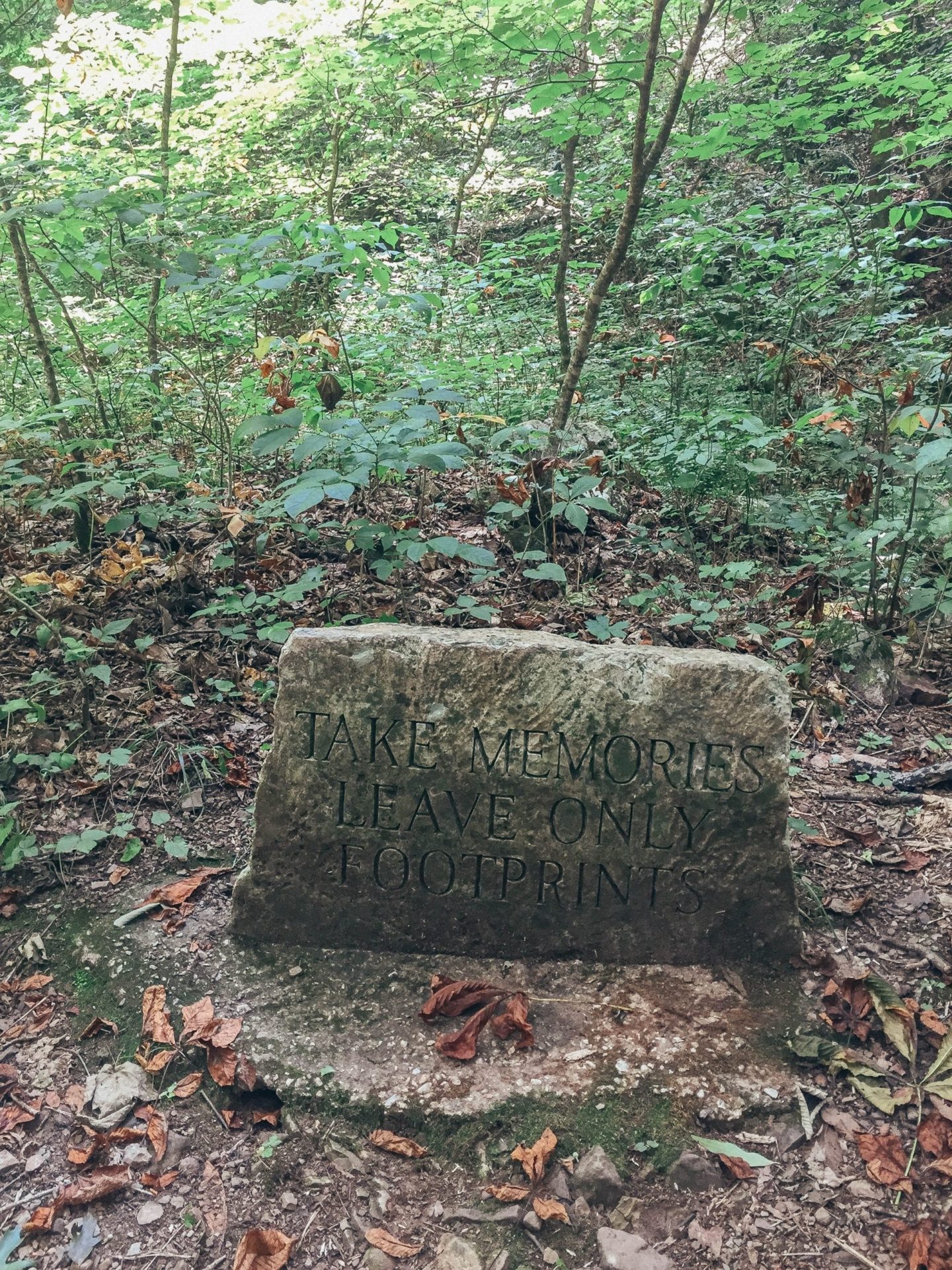 Hiking cascade falls Pembroke Virginia 