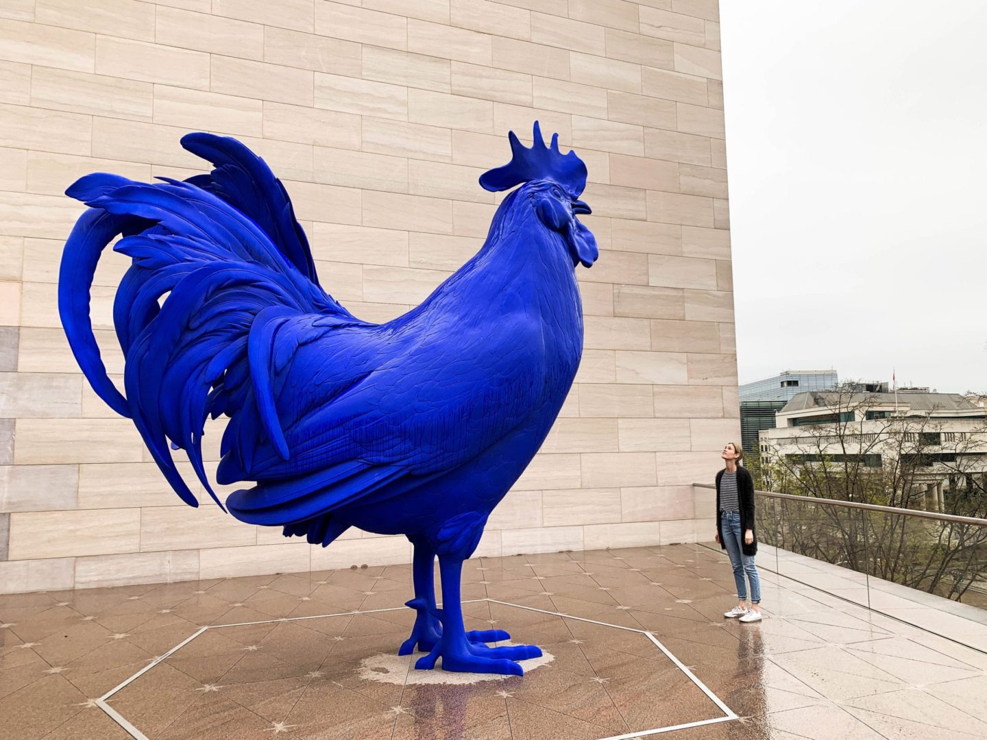 Washington DC National Gallery Of Art