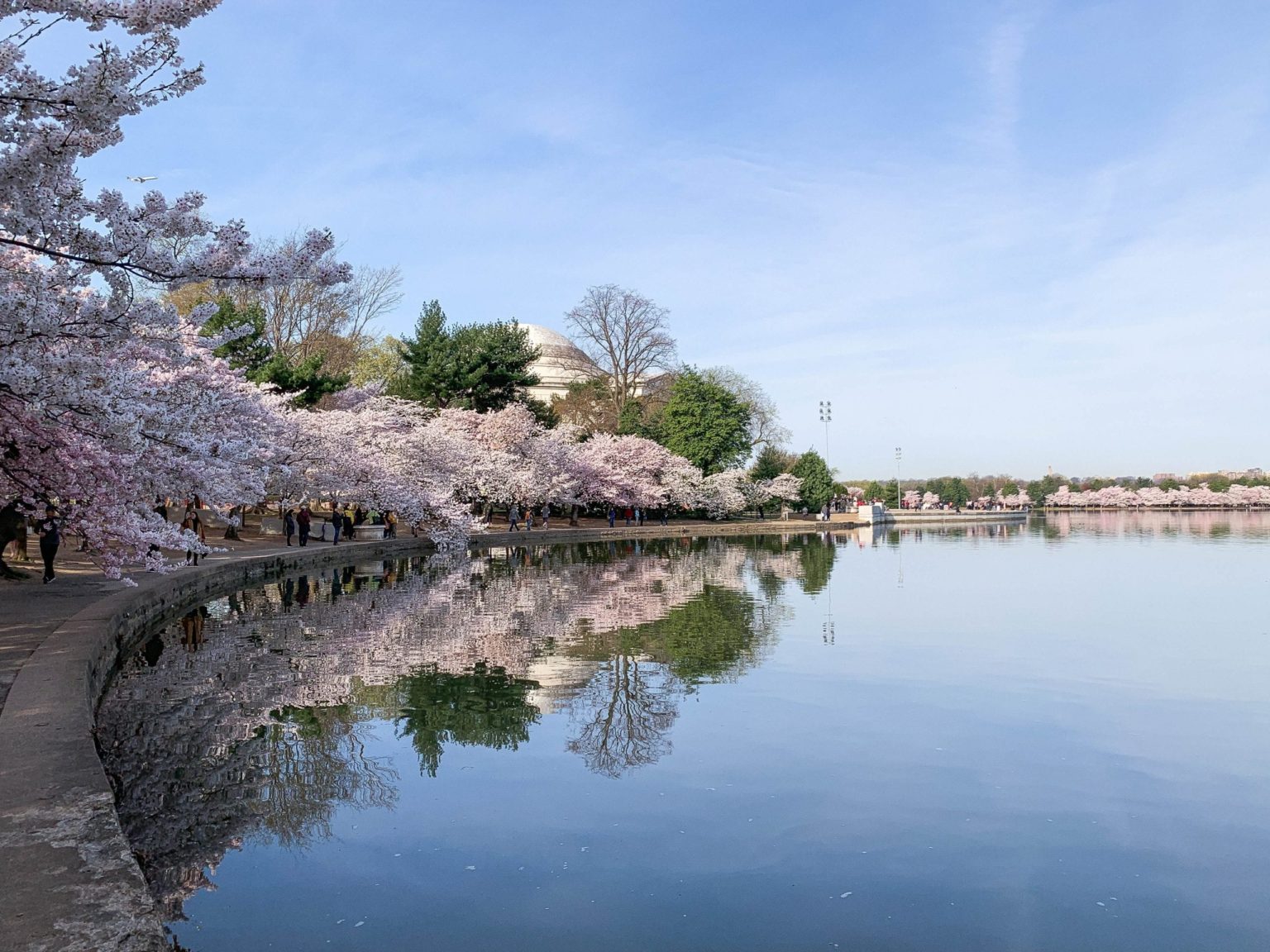 Washington DC Spring Weekend Guide • Ashlea Paige