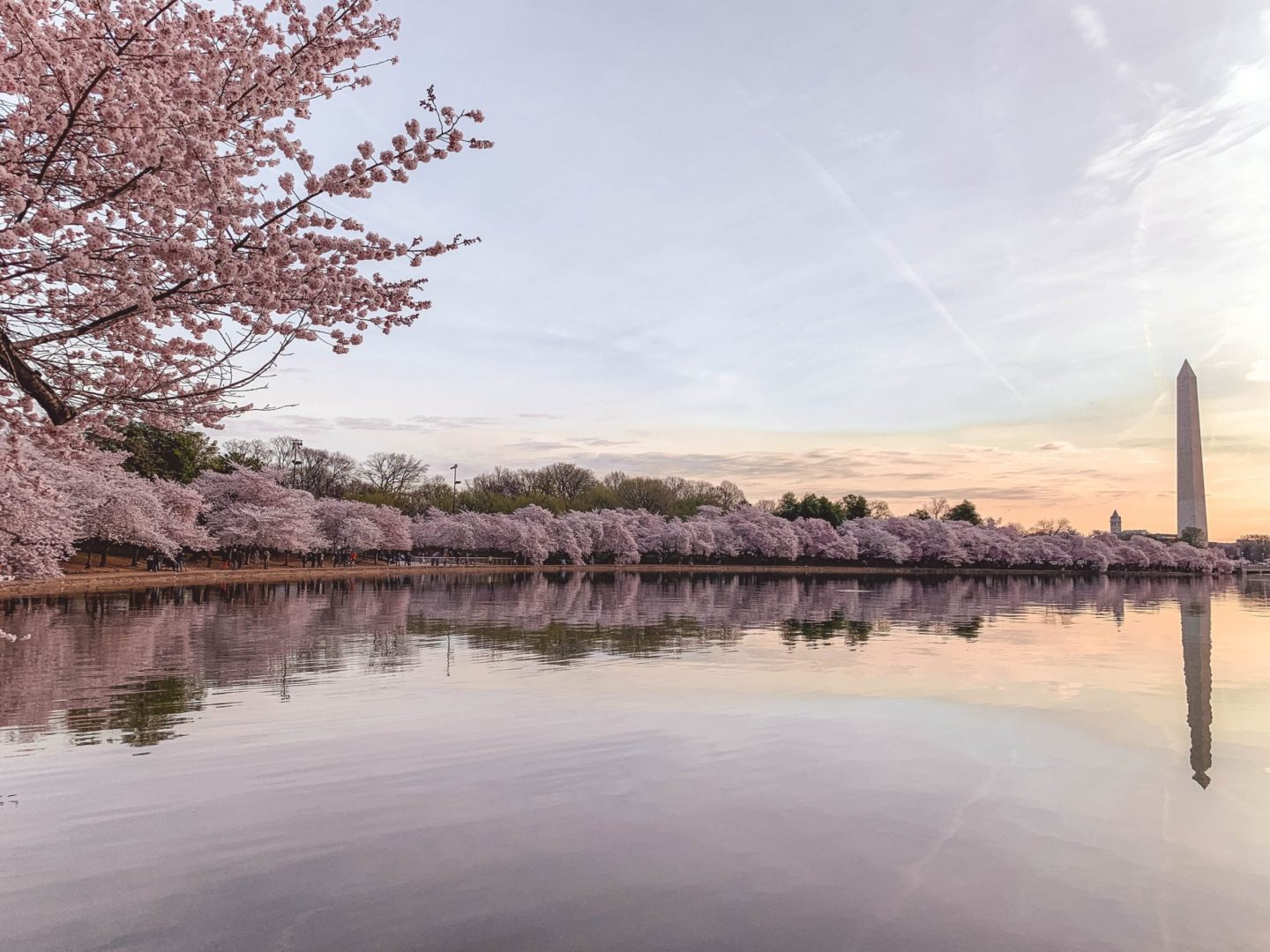 Washington Monument Washington DC