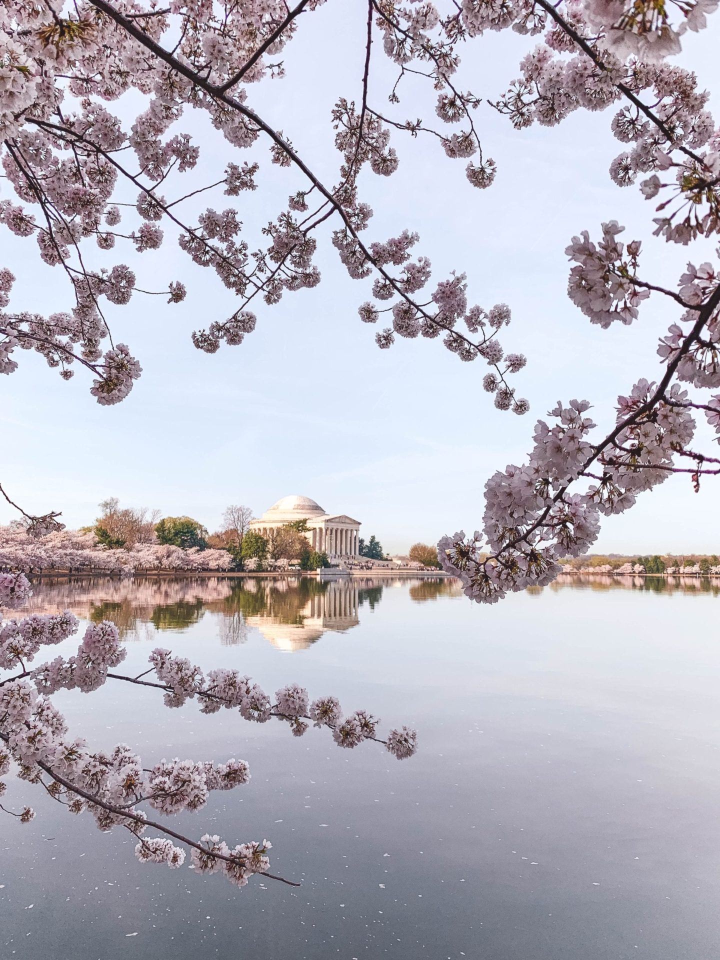 Thomas Jefferson Memorial