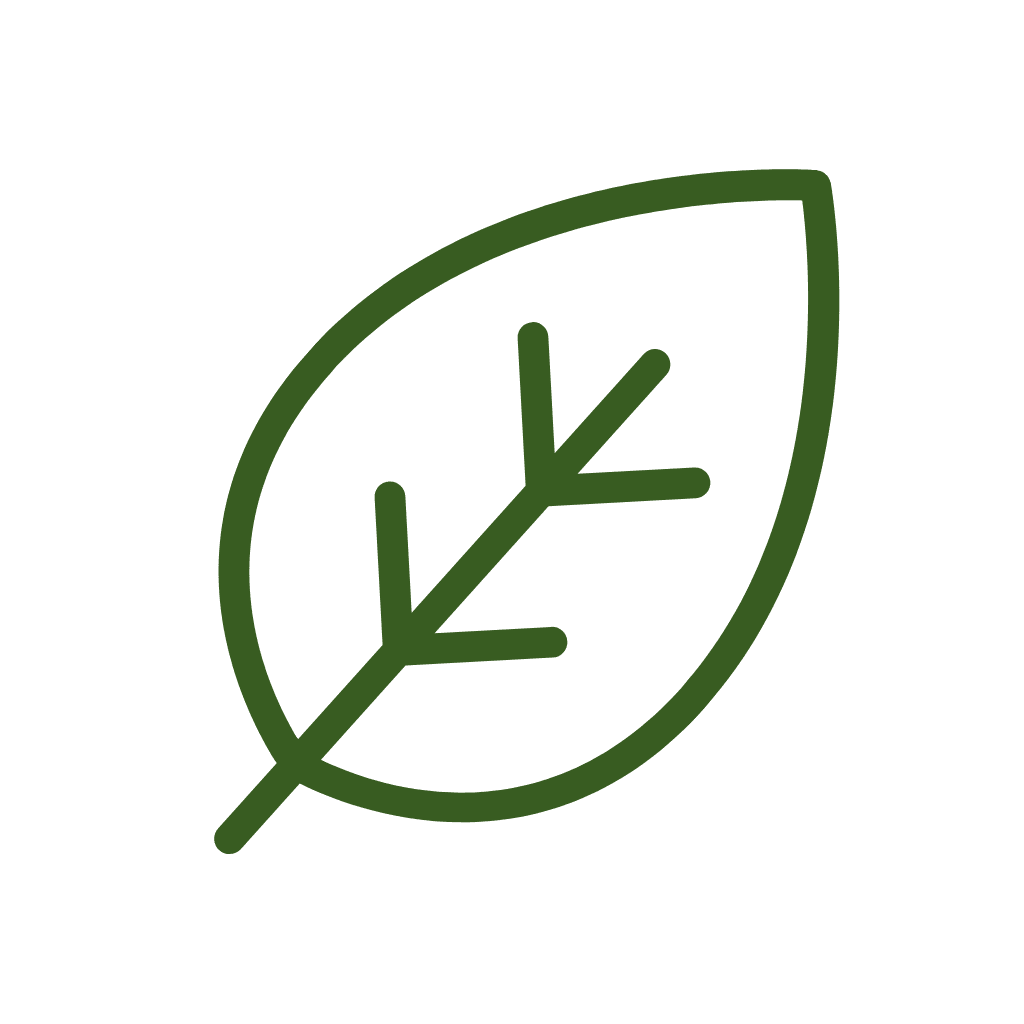 Destination Custom Field Image