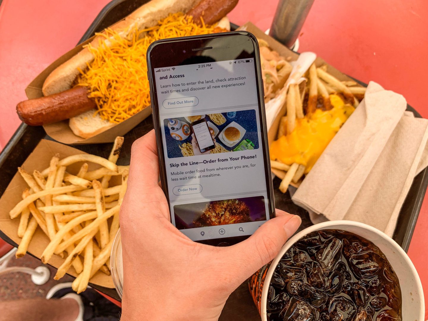 My Disney App Magic Kingdom