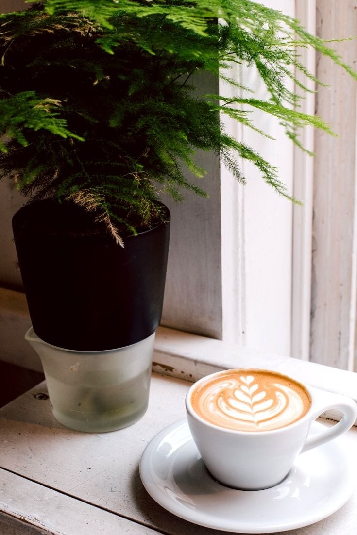 Cup of coffee next to a plant