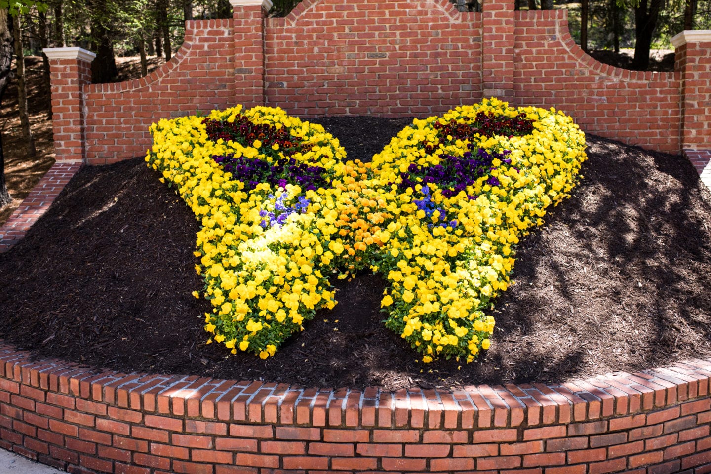 Butterfly Flower Bed Dollywood