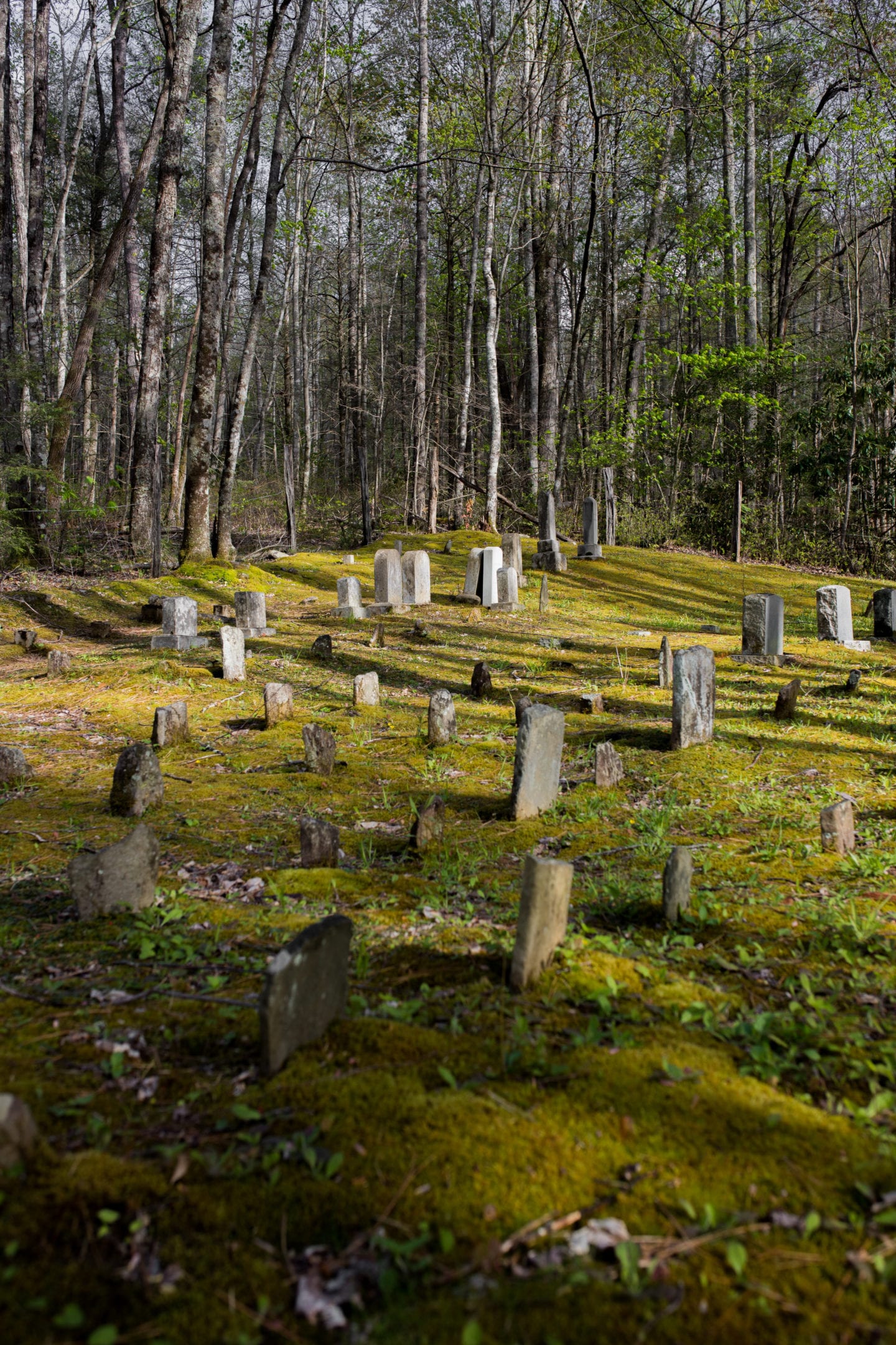 graveyard setting