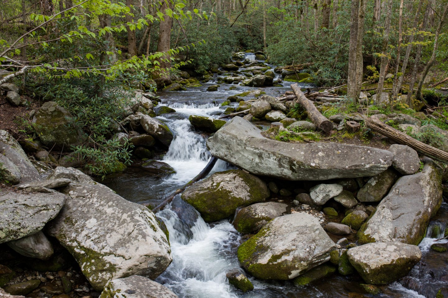 waterfall river bed, Free things to do in Pigeon Forge