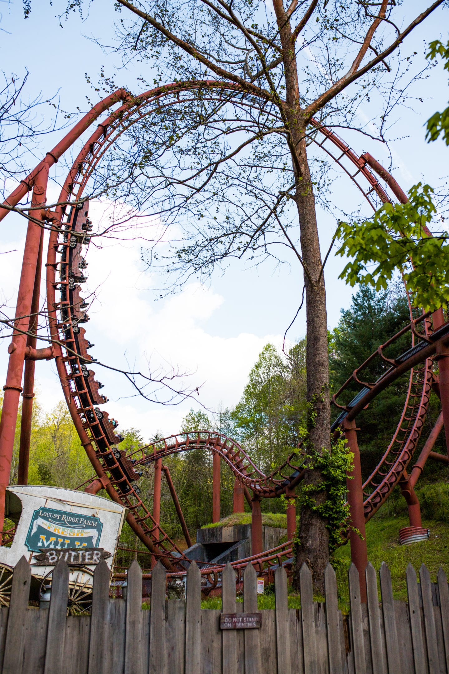 Tennessee tornado Dollywood