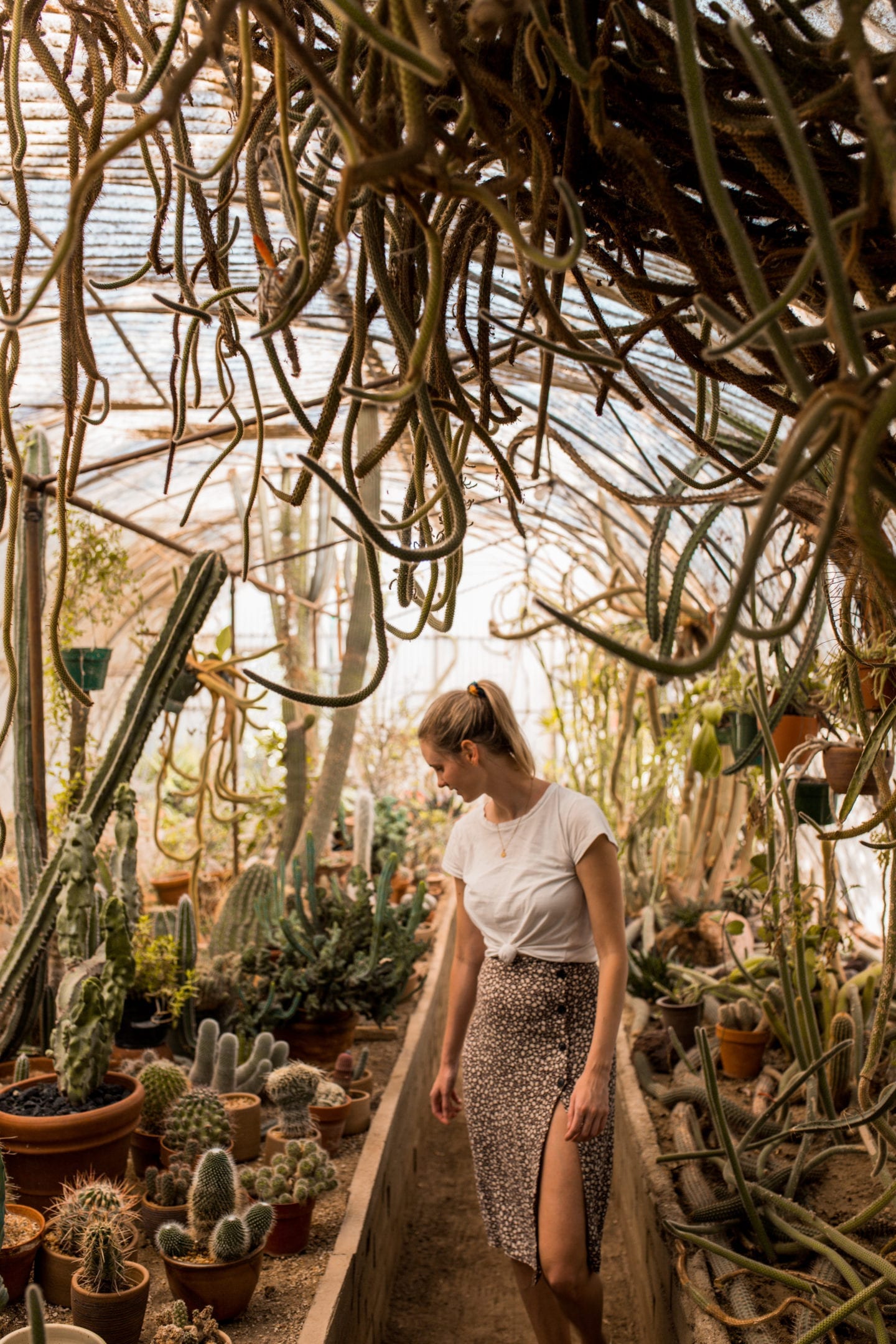 Girl standing in a green house, Summer Weekend Getaways