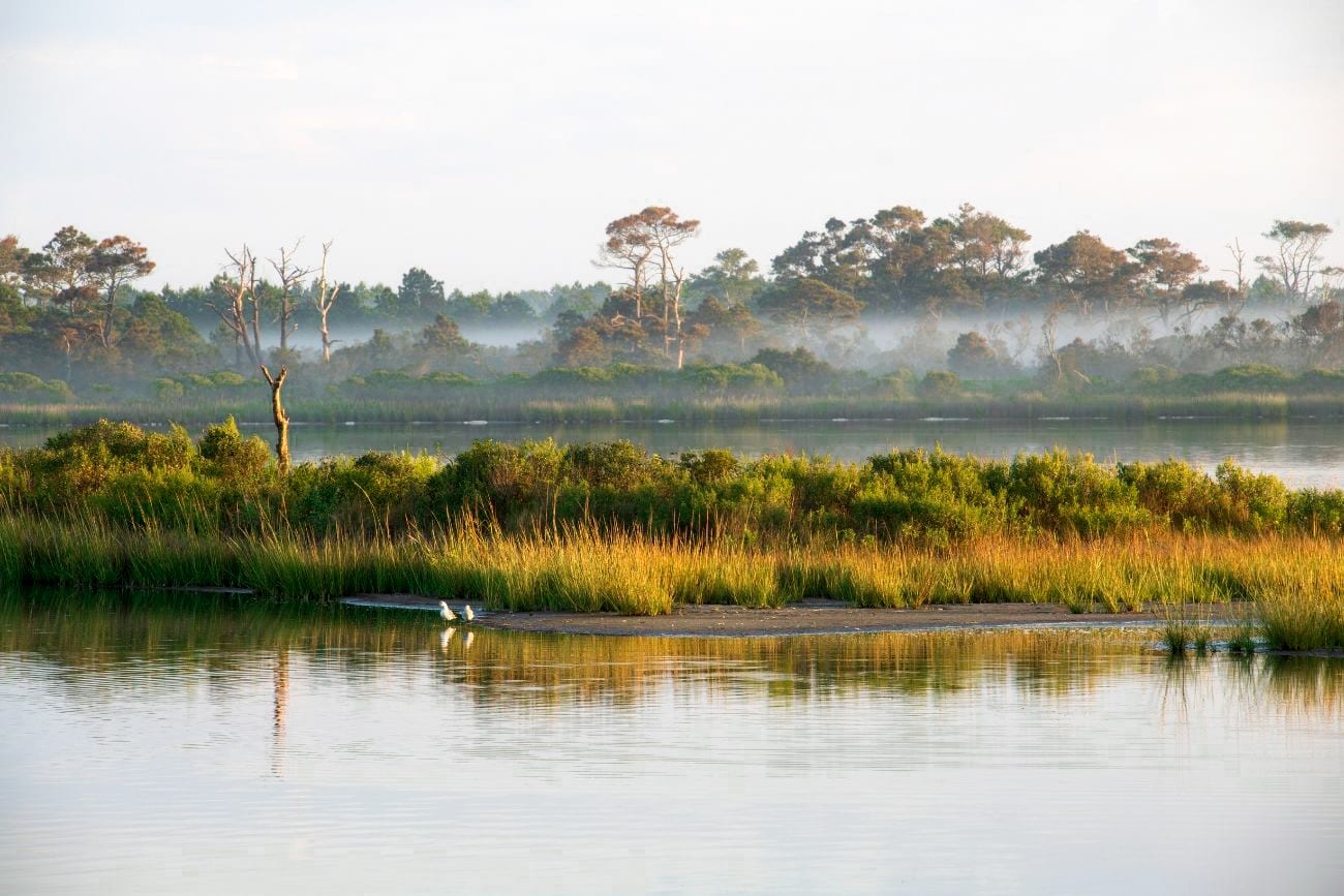 misty lake view