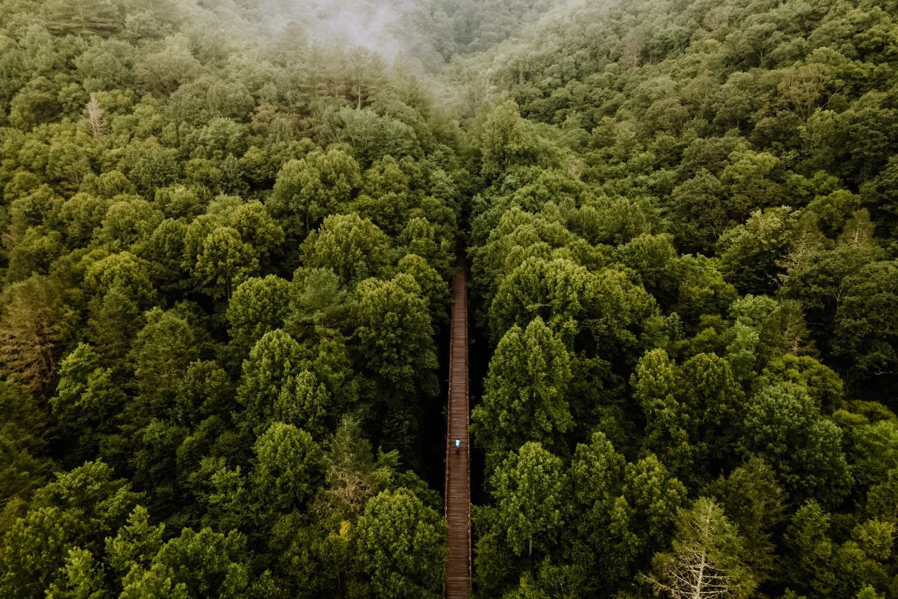 Birds eye view of the Virginia Creeper Trail, small towns in virginia