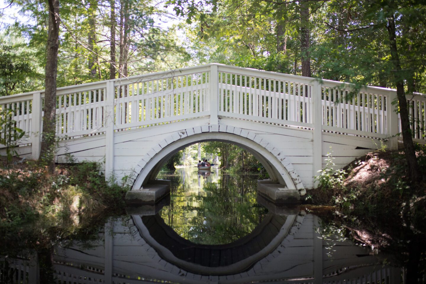 White bridge over a swamp lake Cypress Gardens Charleston
