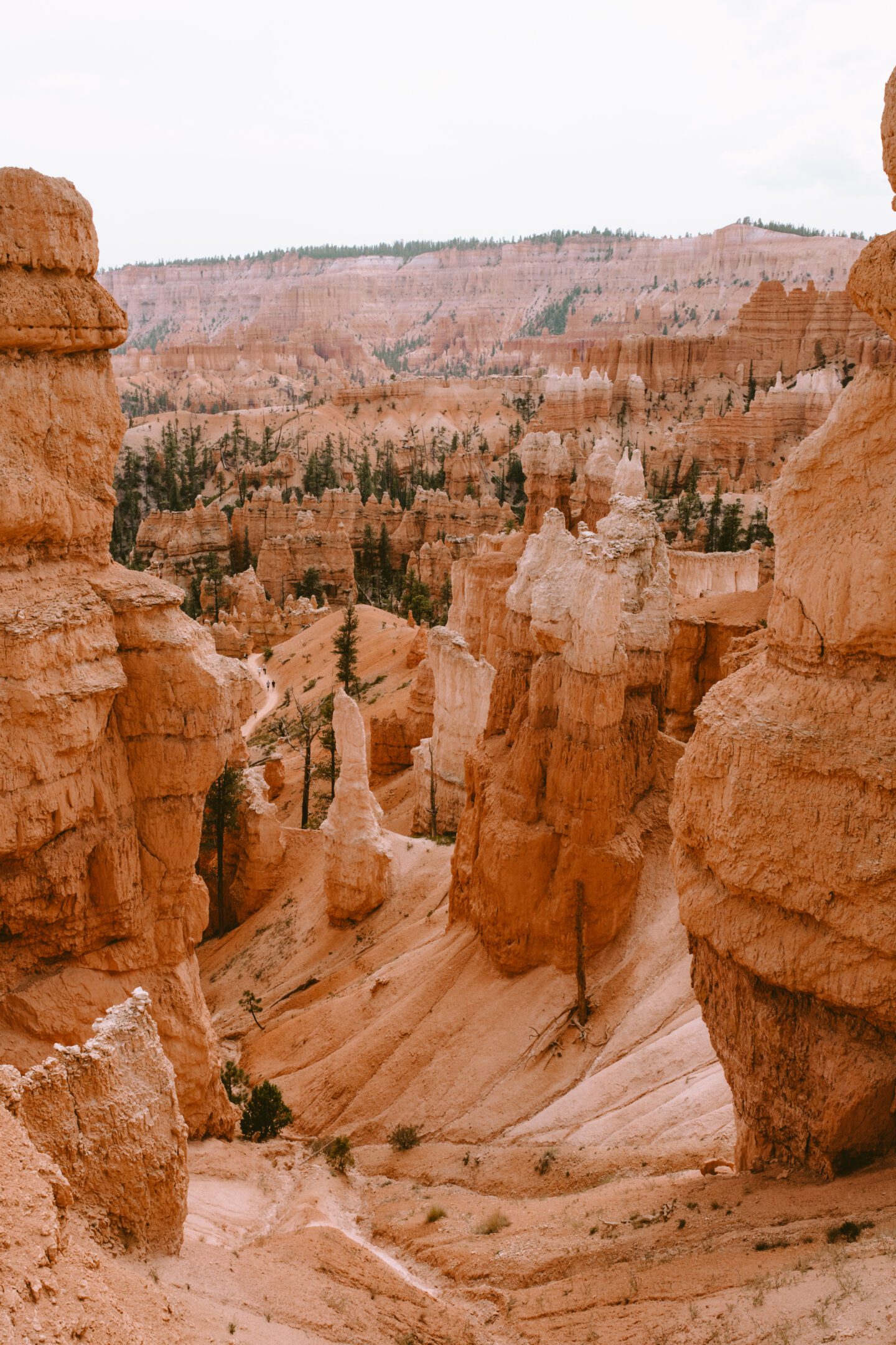 Tall orange rock formations in a canyon, 2 week west coast USA itinerary