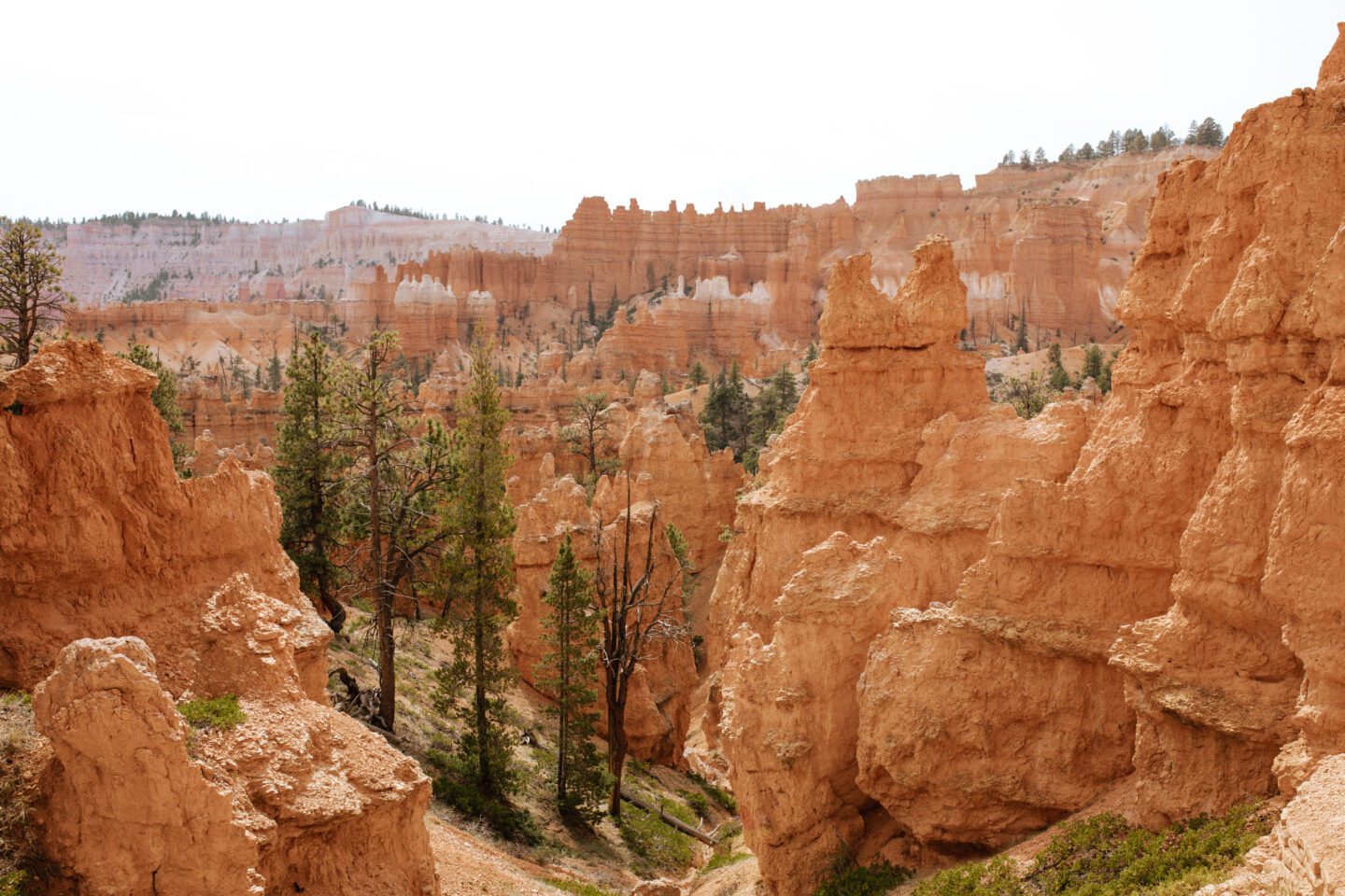 Bryce Canyon National Park Itinerary, what to do in Bryce Canyon
