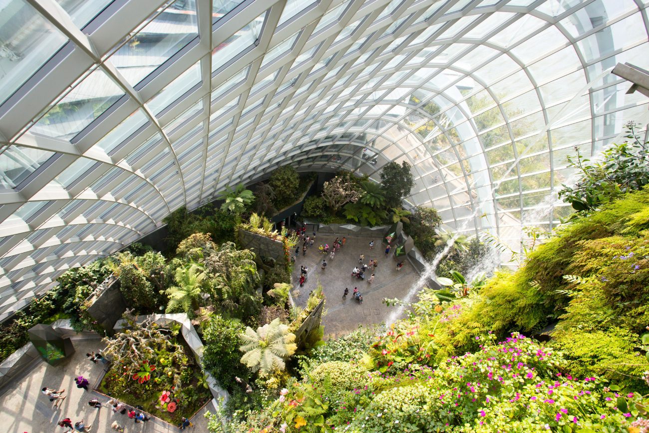 Arial view of an indoor vertical garden