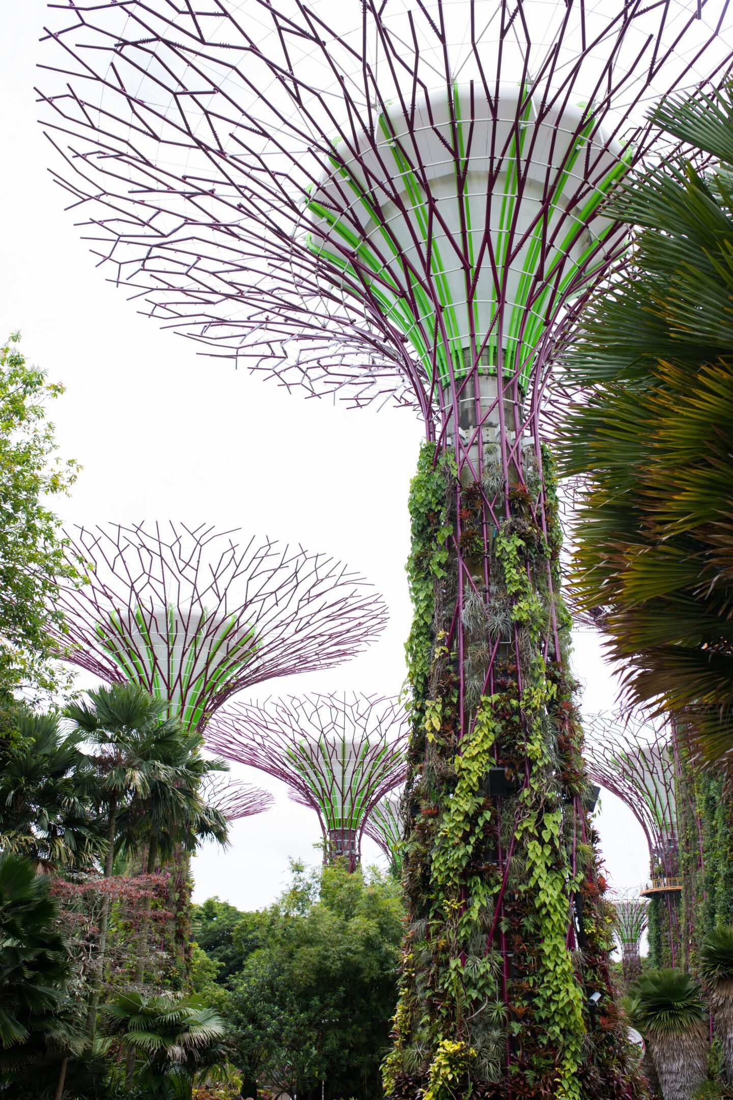 25 Photos That Will Inspire You to Visit Singapore