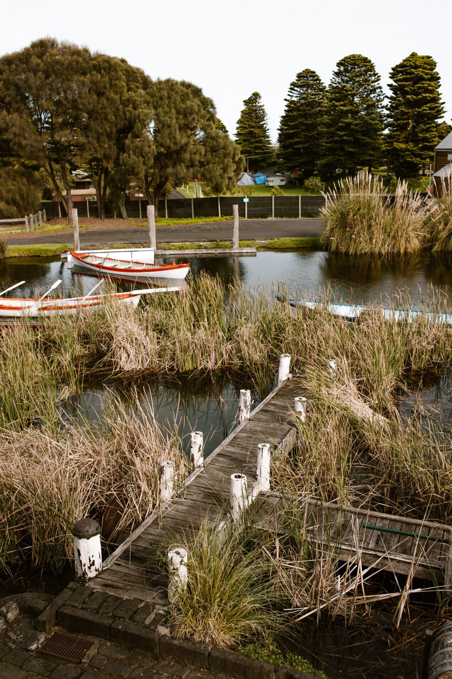 A lake peir with lots of lake grass and surrounding boats, things to do in Warrnambool