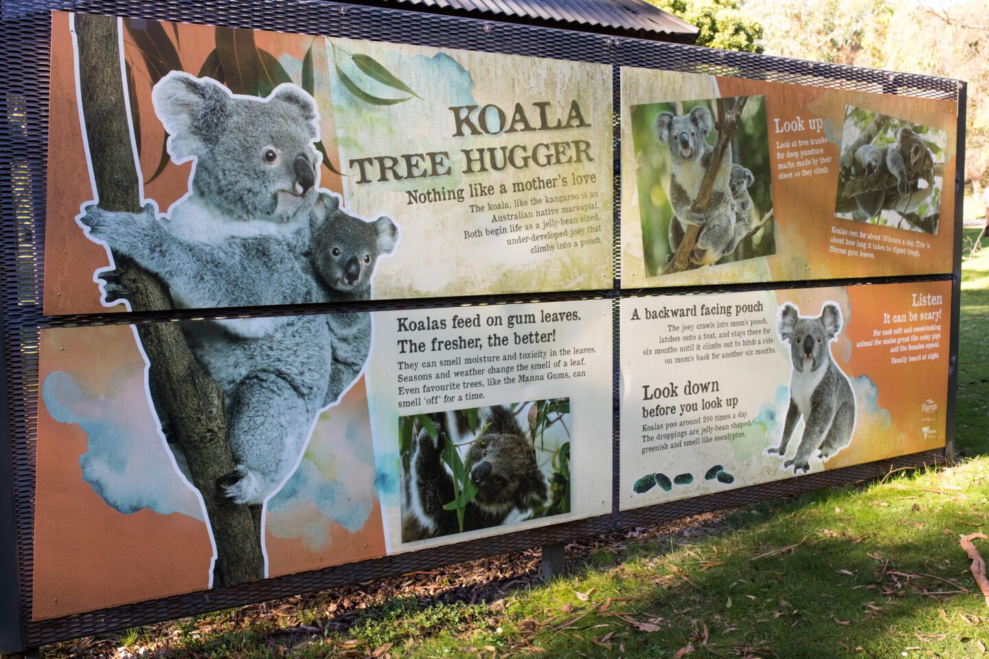 Wildlife sign with Koala Information, things to do in Warrnambool