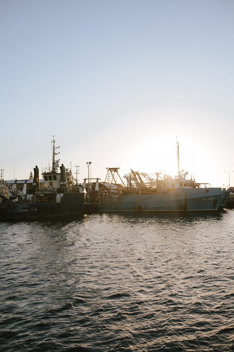 Fishing Boat Harbor Fremantle, fishing boats in a harbor during sunset