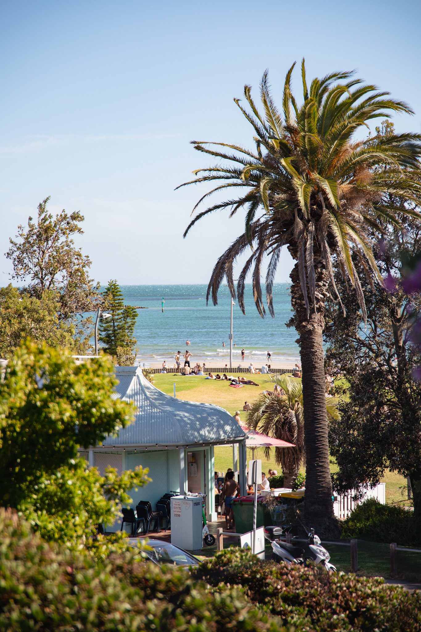 A view of St Kilda Beach through some trees, Melbourne itinerary 